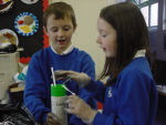 Eco Schools Project