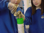 Eco Schools Project